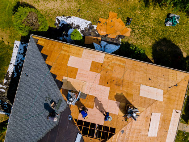 Gutter Installation and Roofing in Clute, TX